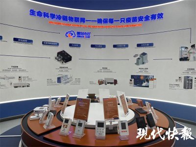 ​对话徐州“小巨人”企业，解码“精而强”成功之道