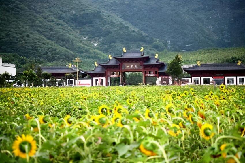 唐山有山吗(唐山的山有哪些)
