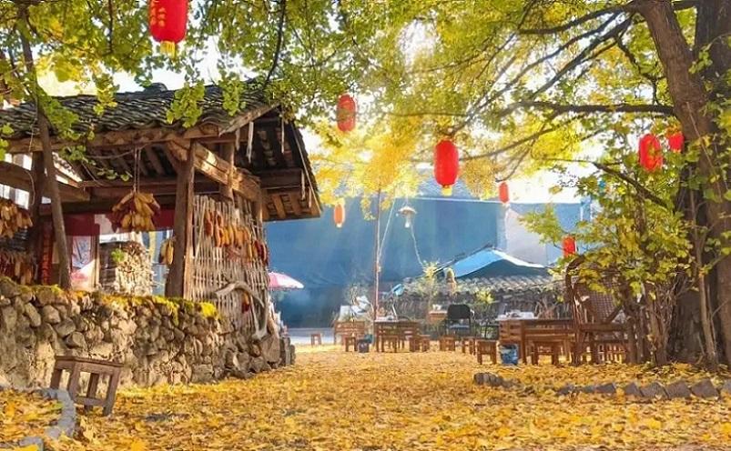云南小众冷门又好玩的景点(云南十大超美冷门景点)