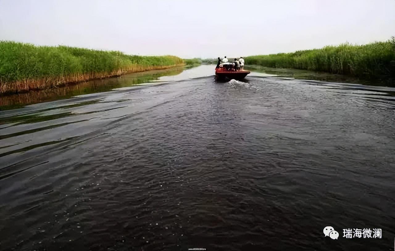 衡水河流有哪些(流经衡水的河流)