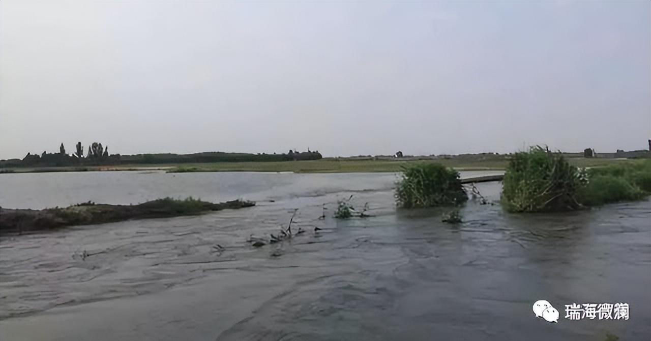 衡水河流有哪些(流经衡水的河流)