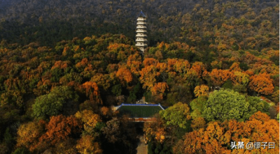 ​南京最高的山(南京都有什么山)