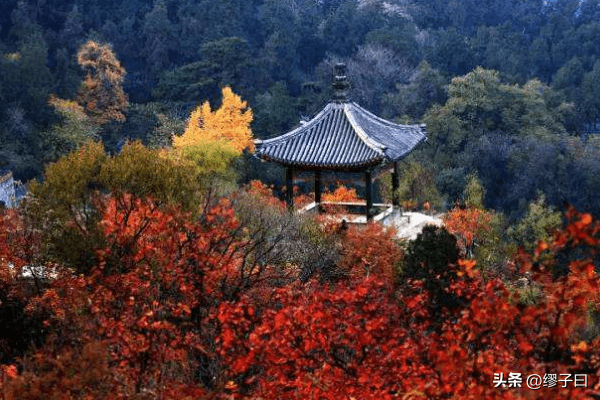 南京最高的山(南京都有什么山)