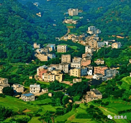 茂名市信宜19个乡镇名字的由来(信宜市各镇名称由来)