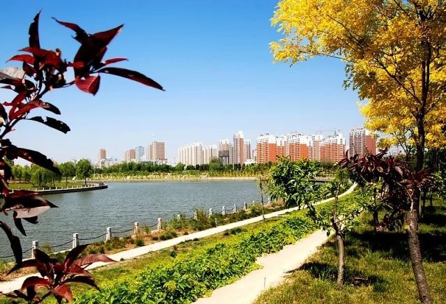 我的家乡衡水介绍(衡水特色文化介绍)