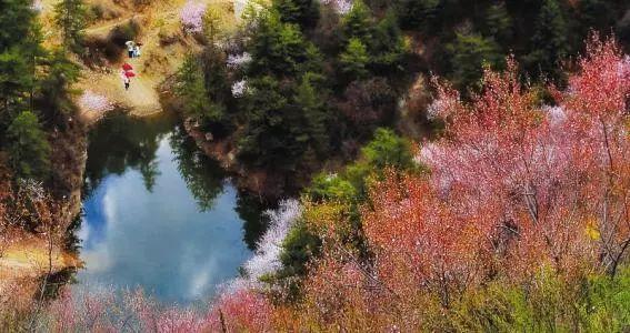 万柏林区是哪个城市(万柏林区人口)