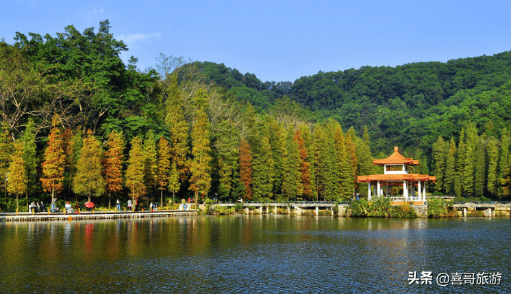 罗湖区是哪个省哪个市(广东罗湖区属于哪个市)