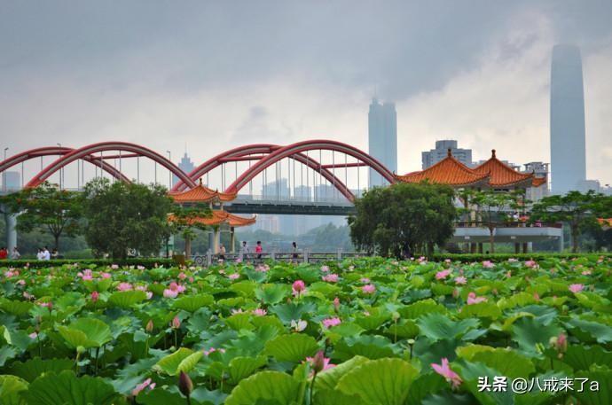罗湖区是哪个省哪个市(广东罗湖区属于哪个市)