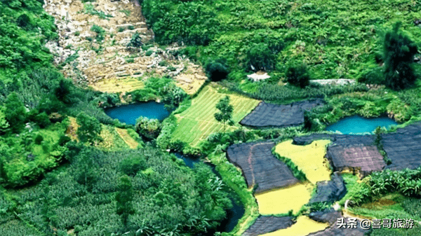 金城江是哪个省的城市(广西金城江属于哪个市)