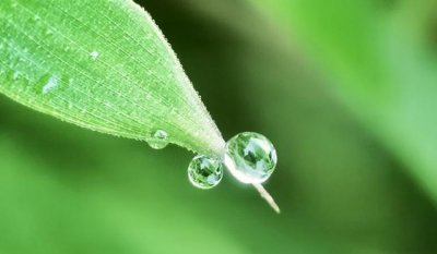 ​露水的象征,甘露泉象征着什么意思