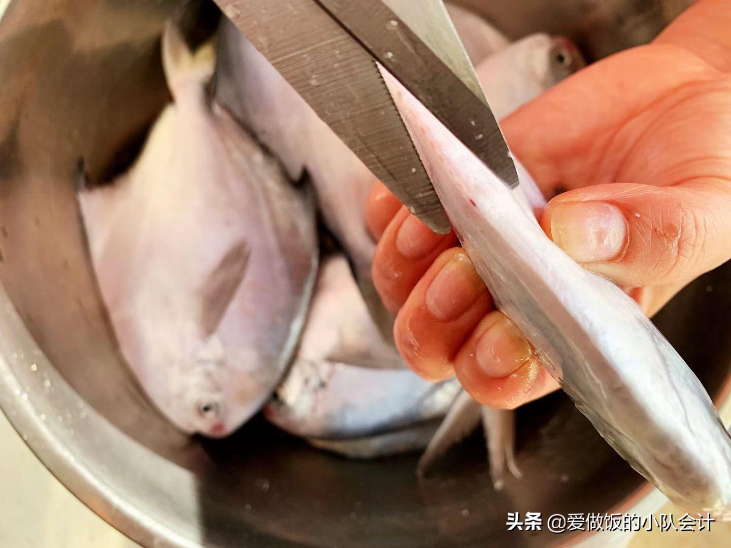 鲳鱼表面的鱼鳞要去掉吗（鲳鱼有鱼鳞吗有腥味吗）