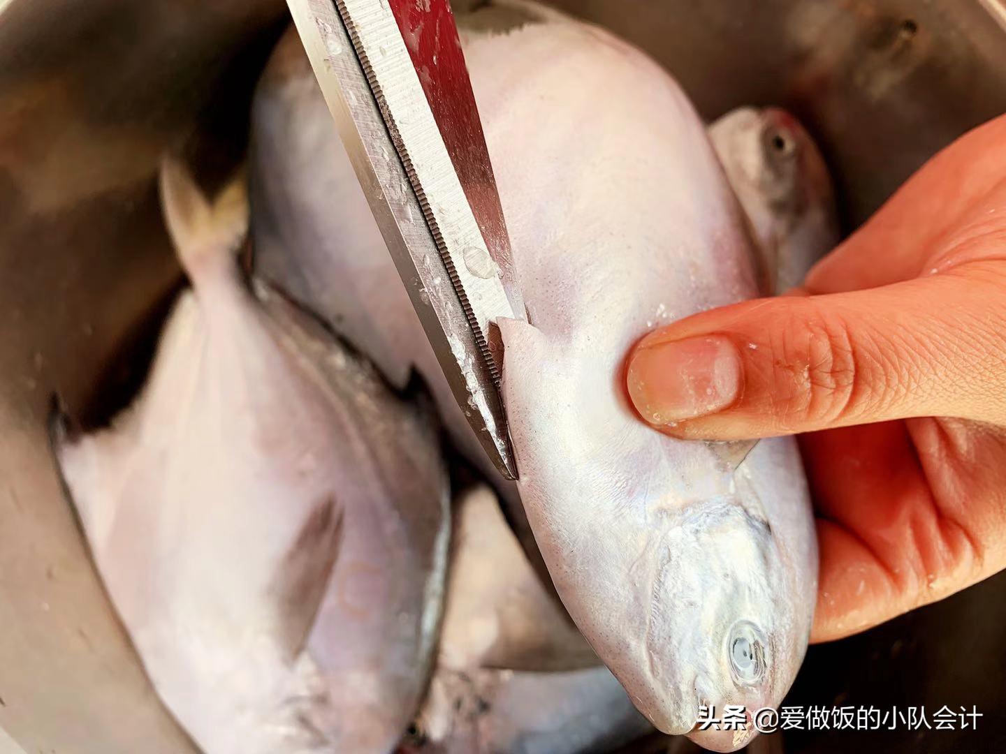 鲳鱼表面的鱼鳞要去掉吗（鲳鱼有鱼鳞吗有腥味吗）