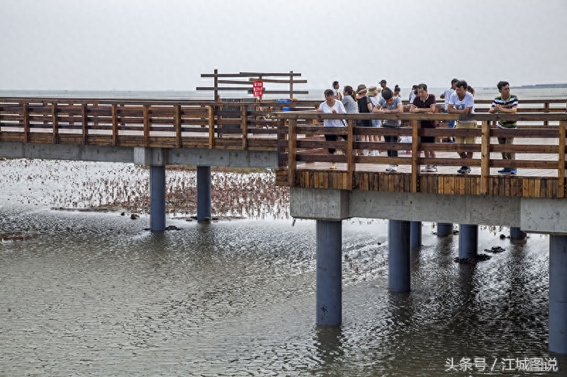 辽宁兴城也有个红海滩，你去过吗？