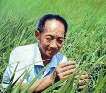 ​袁隆平有哪些贡献，在我国有着怎样的地位？