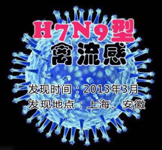 ​禽流感会传染给人吗 8种禽流感个个都能传染给人