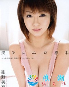 ​绀野美奈子简介
