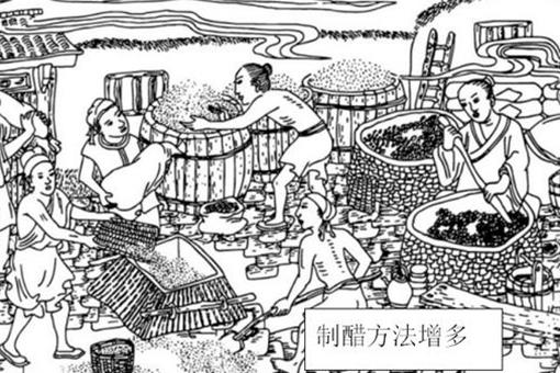 醋的发展史是怎样的?