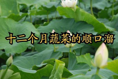 ​十二个月蔬菜的顺口溜（1一12月种蔬菜表）