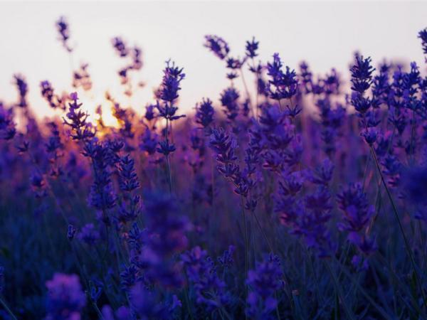 心如止水，不是心如死灰不复温，而是学会了包容。以求完美的心态