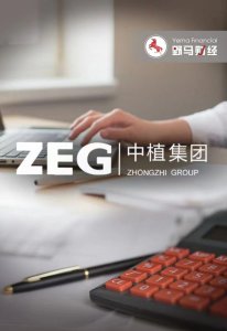 ​搅弄风云29年，万亿“中植系”彻底谢幕！