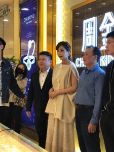 ​周金生代言人杨恭如空降昆明 出席尊晖珠宝庆典