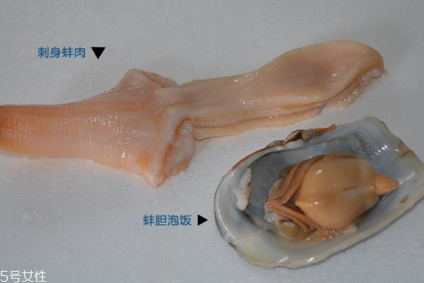 象拔蚌清洗方法 找对方法很重要