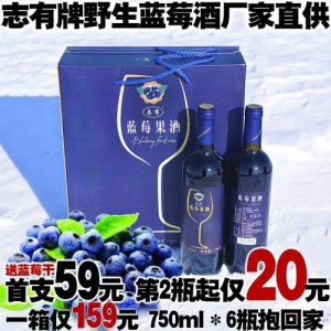 ​秦池蓝莓酒 价格_秦池蓝莓酒价格表