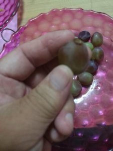 ​金钻干红葡萄酒(金钻干红葡萄酒新疆新雅)