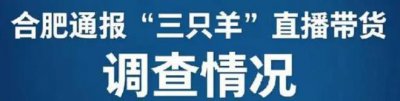 ​合肥通报三只羊处理结果，大小杨哥逃过一劫，卢总和沫沫相安无事
