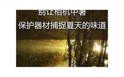 ​腻歪反过来怎么说土味情话(高级反转土味情话)