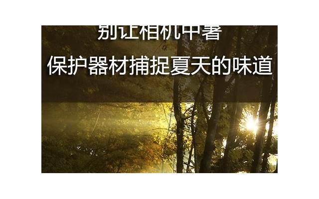 腻歪反过来怎么说土味情话(高级反转土味情话)