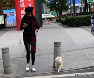 ​张馨予孕肚照首曝光，小肚明显，身材依旧