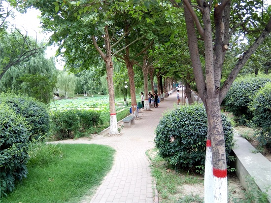 校园的青春气息 邯郸学院掠影