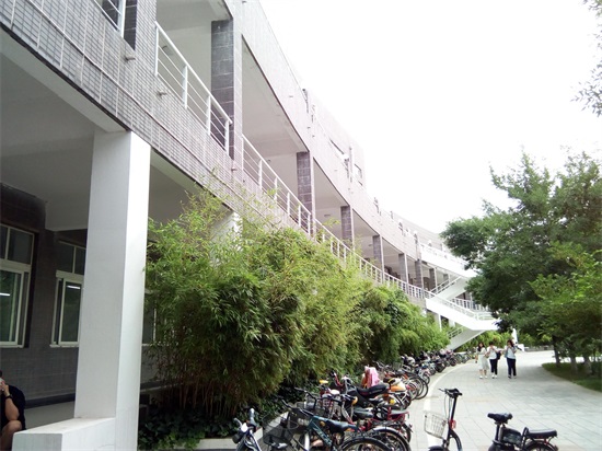 校园的青春气息 邯郸学院掠影