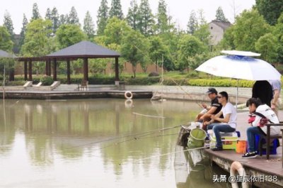 ​夏日钓鱼小技巧大全