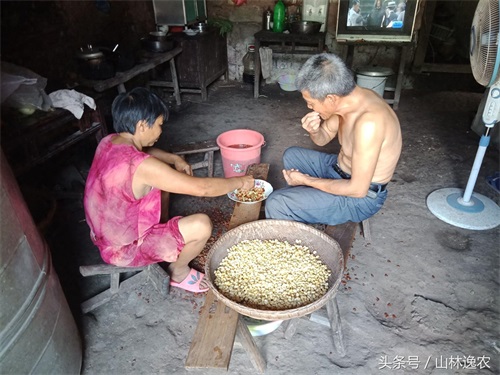 向美味的豆瓣酱迈出第一步！看看农家人是怎么自己做豆瓣酱的！