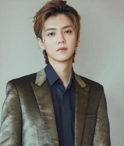 ​90后男星人气大比拼：邓伦鹿晗均入榜，榜首让人惊讶！