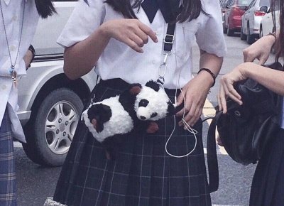 ​婚姻要经营吗，婚姻需要投入经营吗？