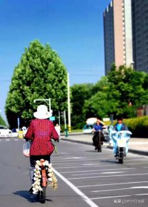 ​兖州各镇街疆域图，原来我的家在这里