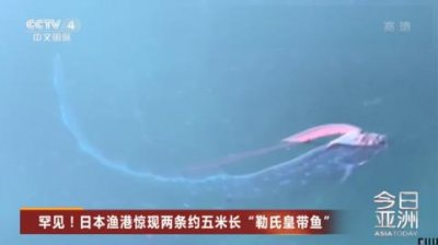 ​上了热搜的“勒氏皇带鱼”究竟是何方妖物？