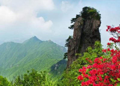 ​来河南信阳旅游，必尝的6种特色名肴，经典味美，个个都好吃到爆