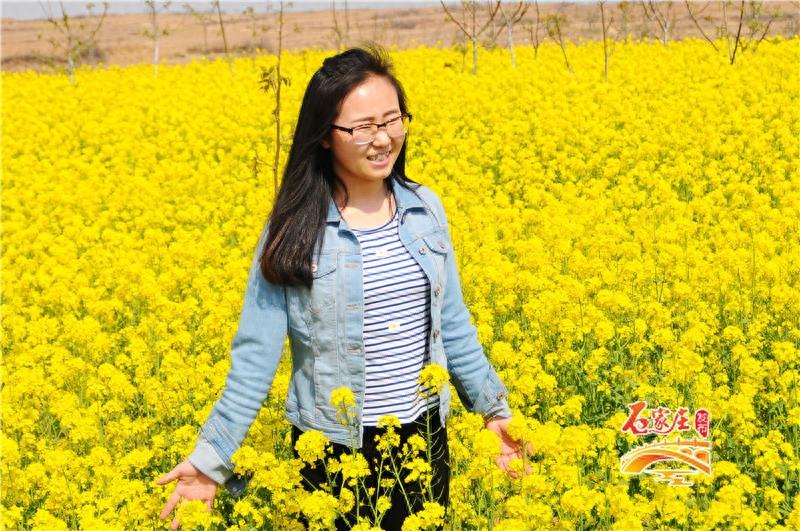 桃花梨花樱花都看够了吧！元氏县新发掘一处赏花之地“杏花峪”