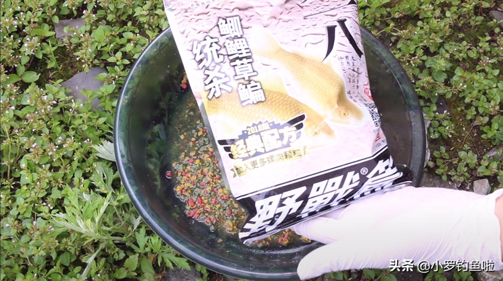 九一八这样搭配，草鱼鲤鱼通杀，野钓效果杠杠的