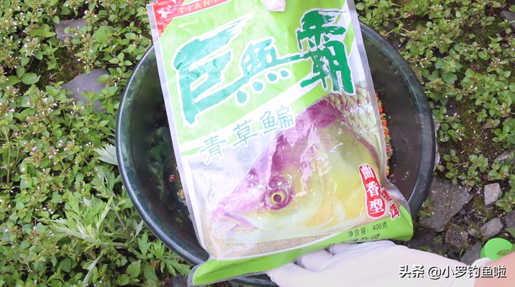 九一八这样搭配，草鱼鲤鱼通杀，野钓效果杠杠的