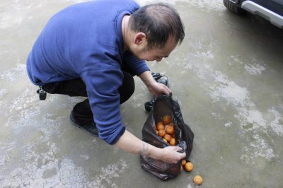 ​四川一乡镇荒芜人烟，大片水果无人采摘，小伙一次搞了200多斤