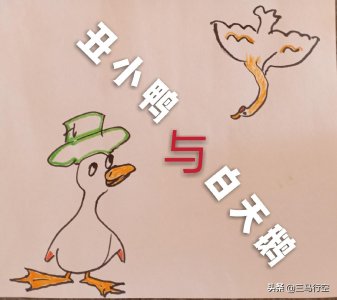 ​丑小鸭与白天鹅
