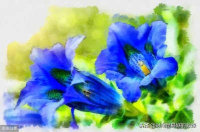 ​做人，不要攀比