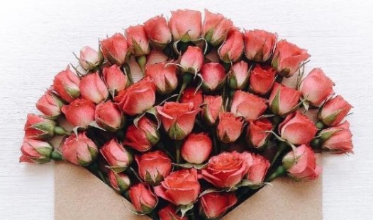 祝老师节日快乐的一句话,教师节一句话祝福语大全图4