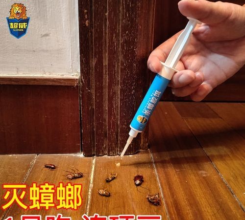 家里有蟑螂怎么处理能干净