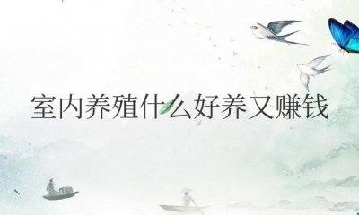 ​室内养殖什么好养又赚钱